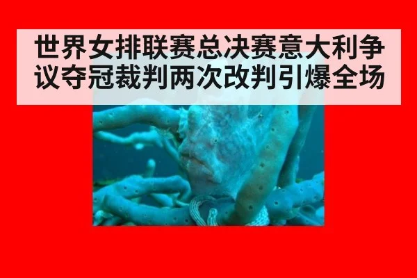 世界女排联赛总决赛意大利争议夺冠裁判两次改判引爆全场